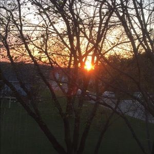 Meet your Posher, Carmen